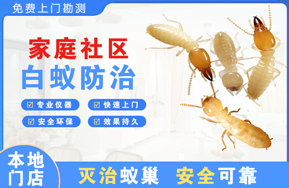 黔南家庭社区白蚁防治