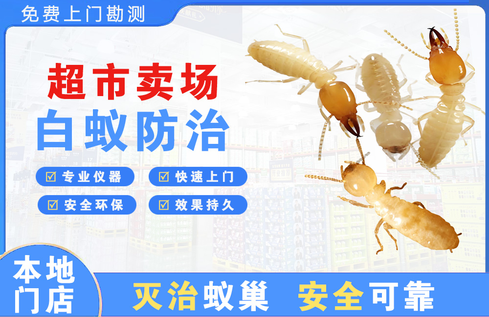 黔南超市卖场白蚁防治