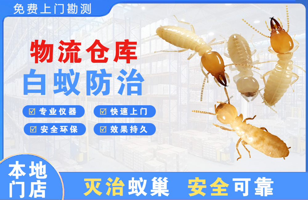 黔南物流仓库白蚁防治
