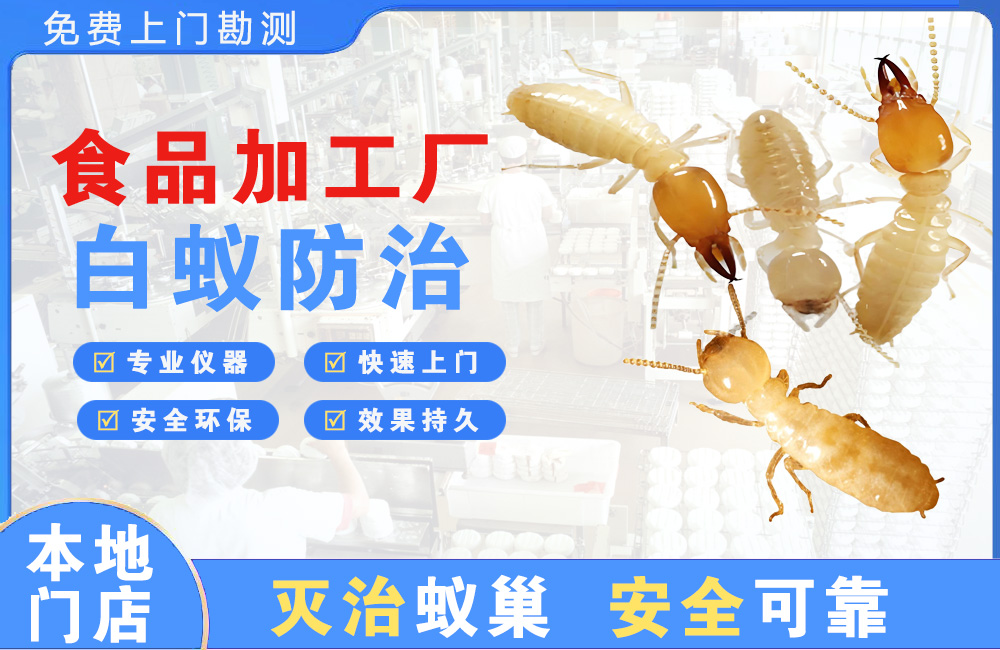 黔南食品加工厂白蚁防治