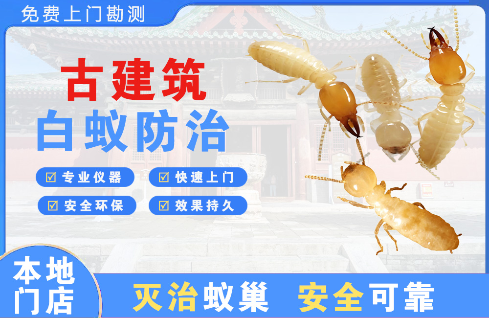 黔南古建筑白蚁防治
