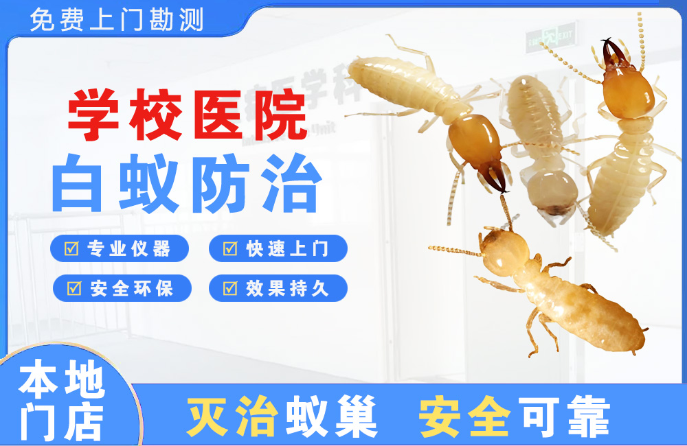 黔南学校医院白蚁防治