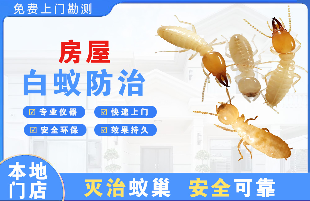 黔南房屋白蚁防治