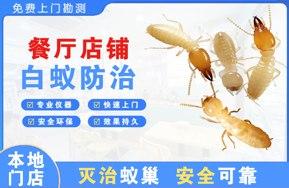 黔南餐厅店铺白蚁防治